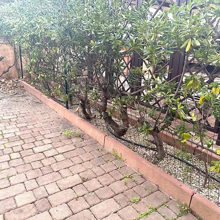 Trilocale I Fenicotteri *